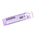 Pulsatilla 200ck